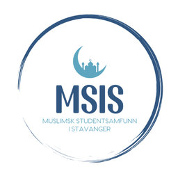 MSiS logo